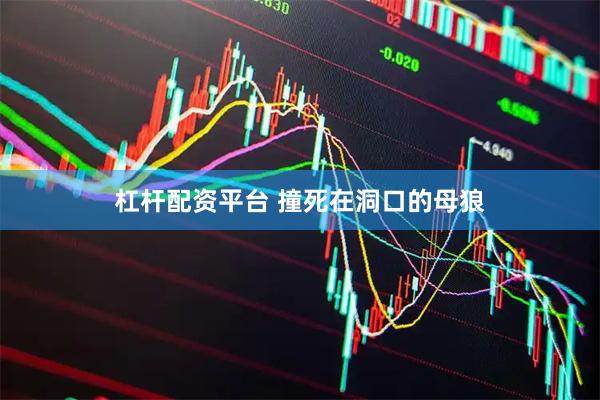 杠杆配资平台 撞死在洞口的母狼